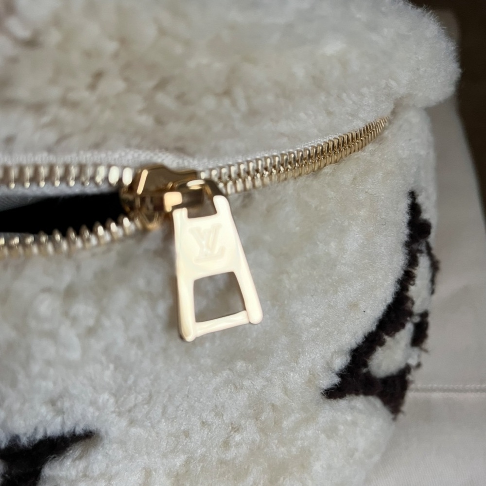 Louis Vuitton Shearling Bumbag - Picture 8 of 12